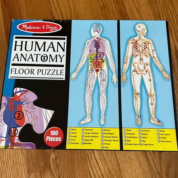 - Human anatomy puzzle - Picture 1 of 1